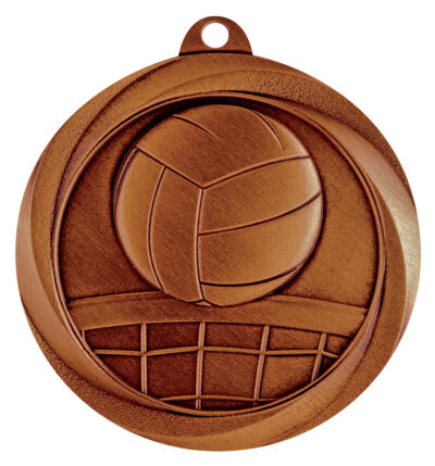 Volleyball Econo Medal Bronze