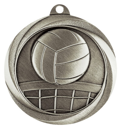 Volleyball Econo Medal Silver