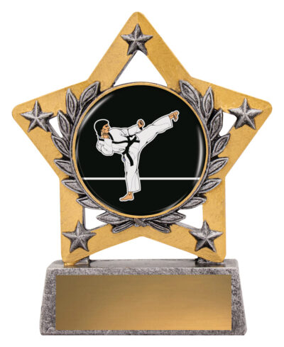 Karate Mini Star Colour 130mm