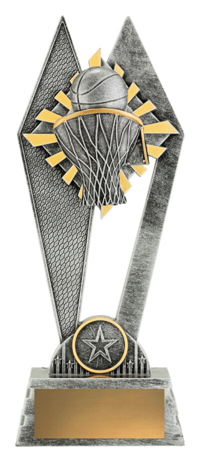 Peak Basketball 225mm
