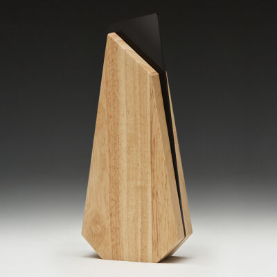 Mawson Wood Award 250mm - Image 2