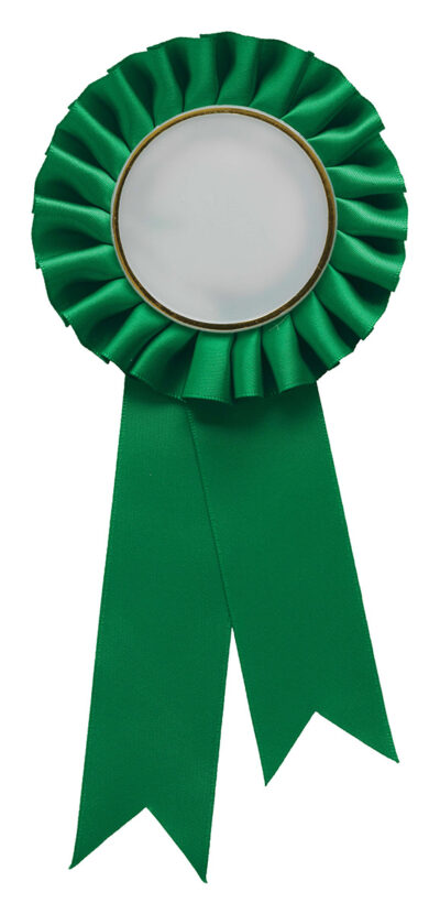 Green Rosette w/ Clip 90 x 210mm - Image 2