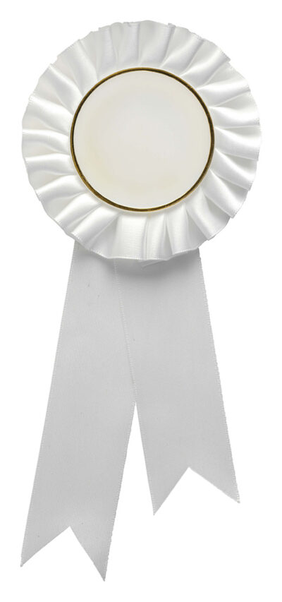 White Rosette w/ Hook 90 x 210mm - Image 2