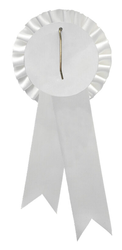 White Rosette w/ Hook 90 x 210mm - Image 3