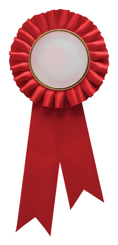 Red Rosette w/ Hook 90 x 210mm - Image 2