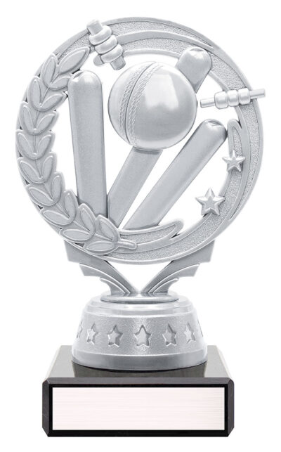 Silver / Blue Cricket Torch Series 140mm