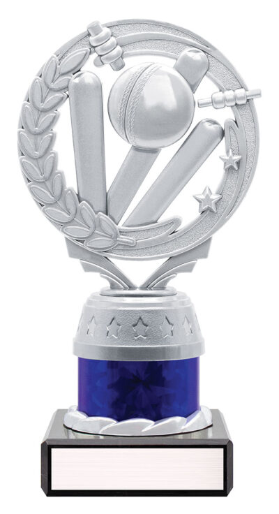 Silver / Blue Cricket Torch Series 165mm