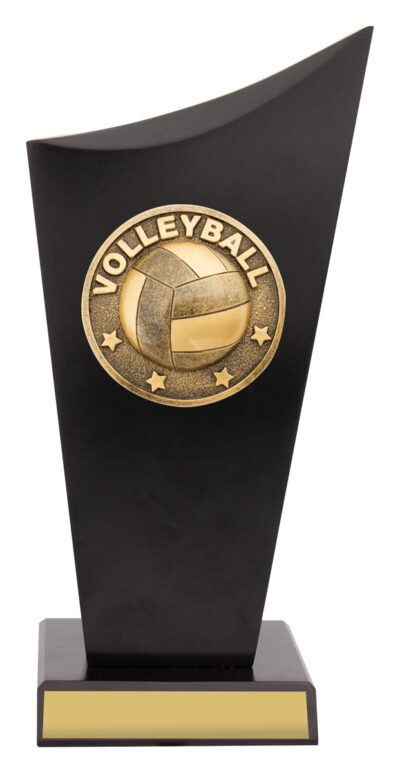 Volleyball Black Timber Spartan Crest 220mm