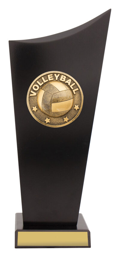 Volleyball Black Timber Spartan Crest 270mm