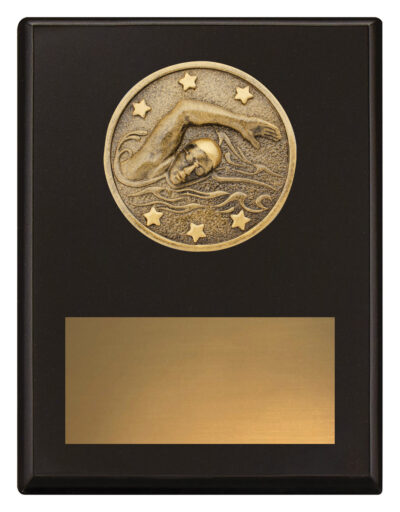 Challenge Plaque Swim 175mm