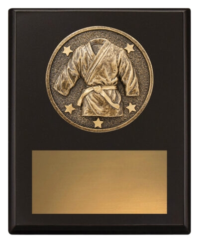 Challenge Plaque Martial Arts 150mm