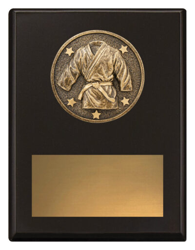 Challenge Plaque Martial Arts 175mm