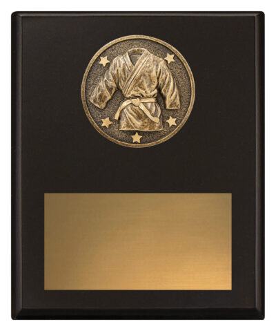 Challenge Plaque Martial Arts 200mm