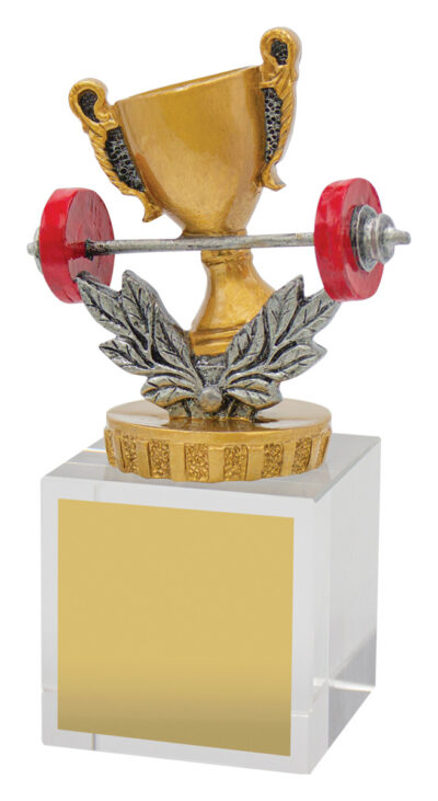 Gym Budget Crystal 120mm