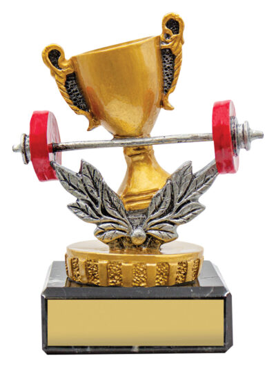 Gym Marble 95mm