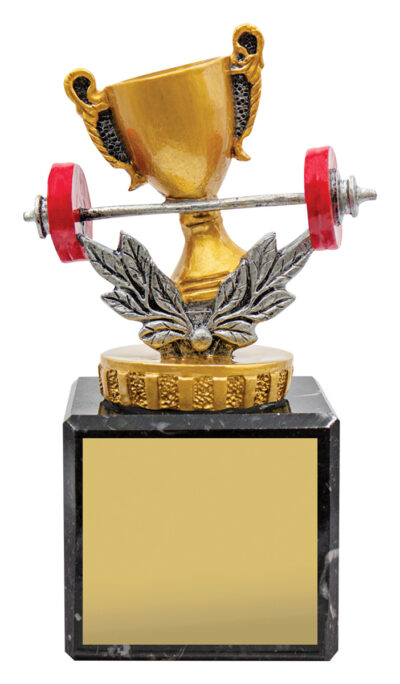 Gym Marble 125mm