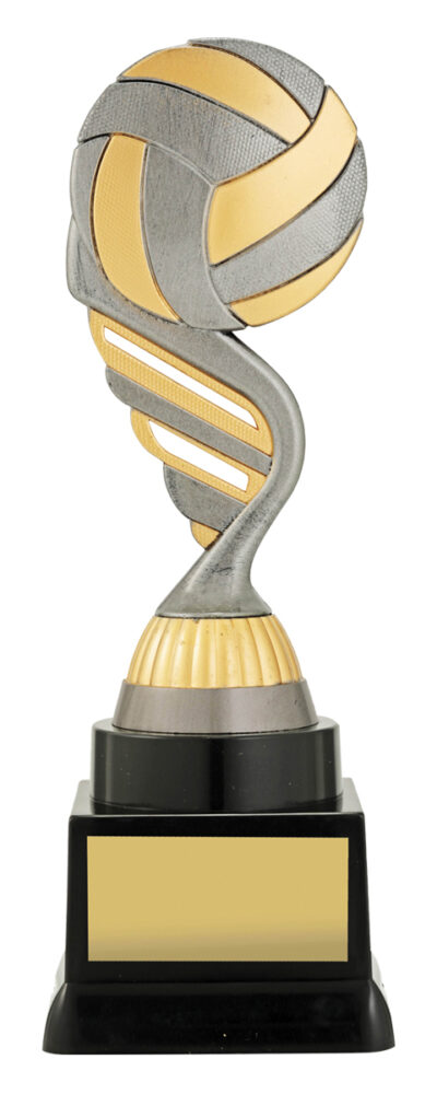Silver Volleyball 190mm