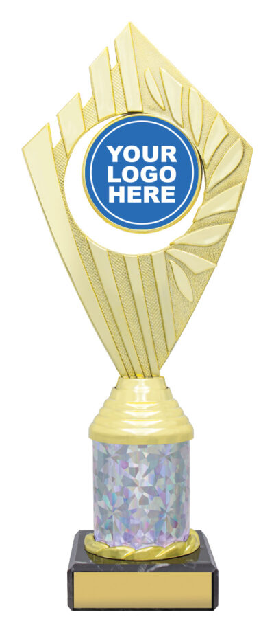 Flyer Trophies Gold / Silver 260mm