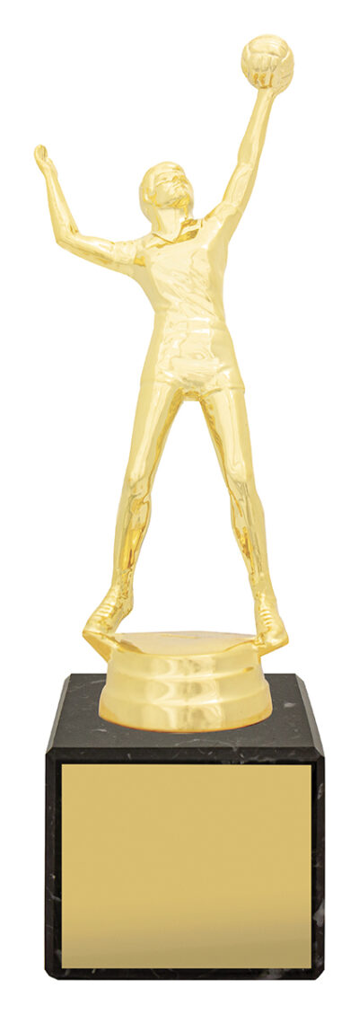Male Volleyball Marble Column