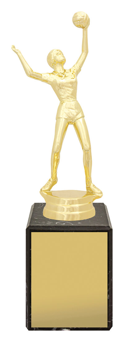 Female Volleyball Marble Column