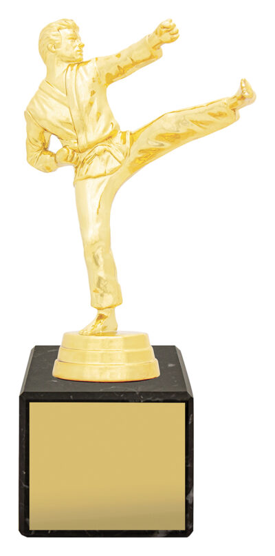Male Karate Marble Column