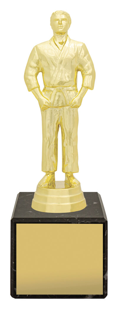 Male Judo Marble Column