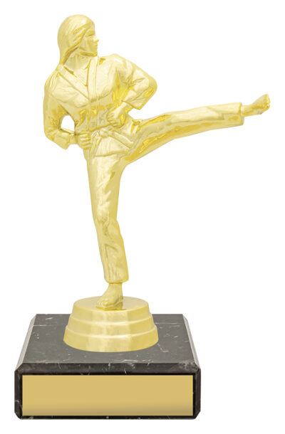 Female Karate Figure Trophy